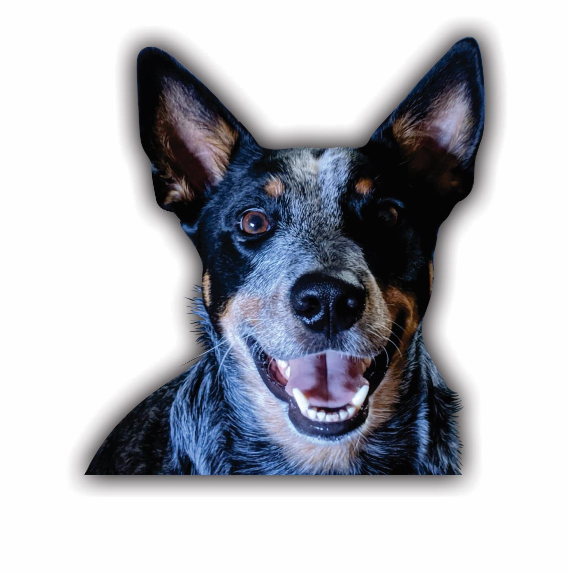 DOG Logo